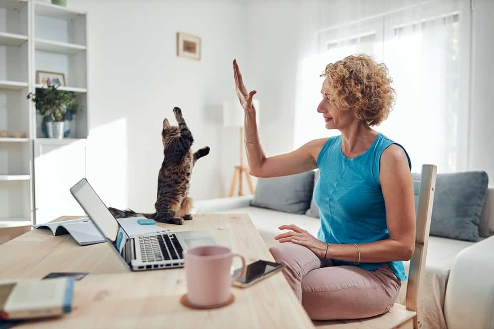 How to Become Self-Employed In Your 50's: Woman sitting at her desk giving your cat a high-5