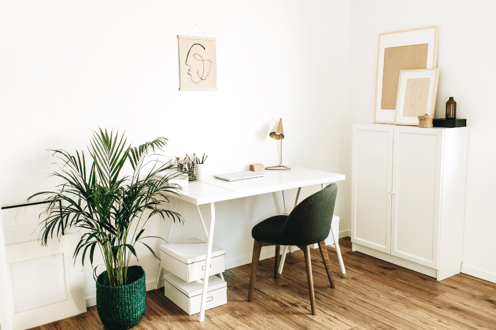 Picture of a home office with desk, chair and a large plant